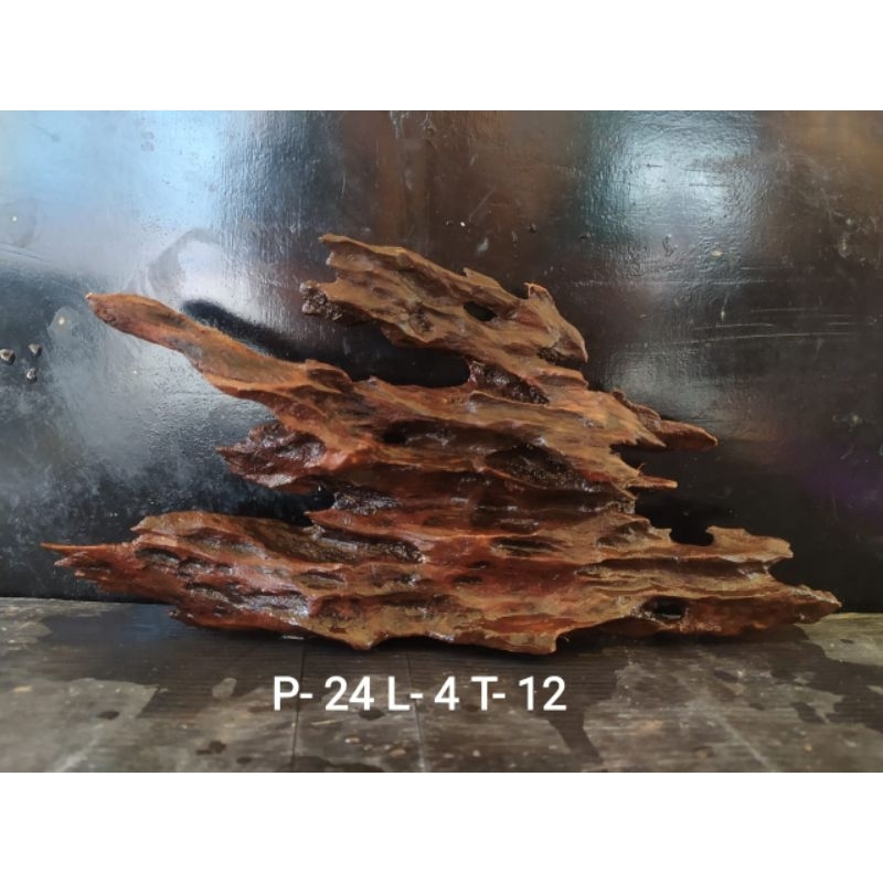 kayu rentek aquascape tenggelam
