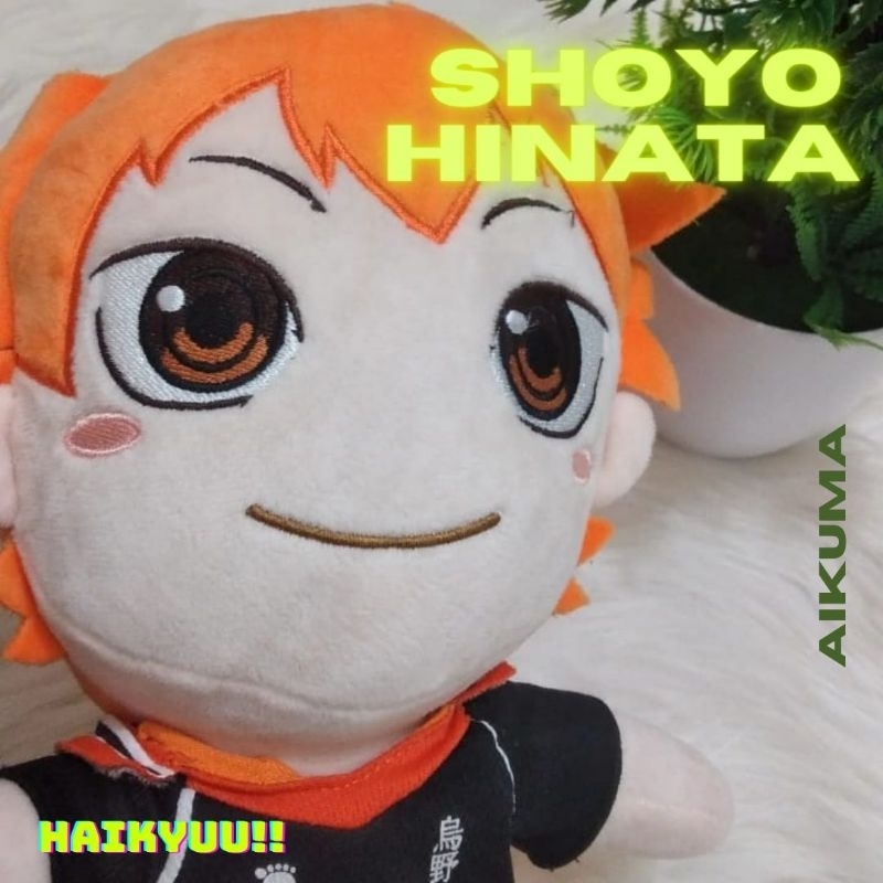 Boneka SHOYO HINATA haikyuu