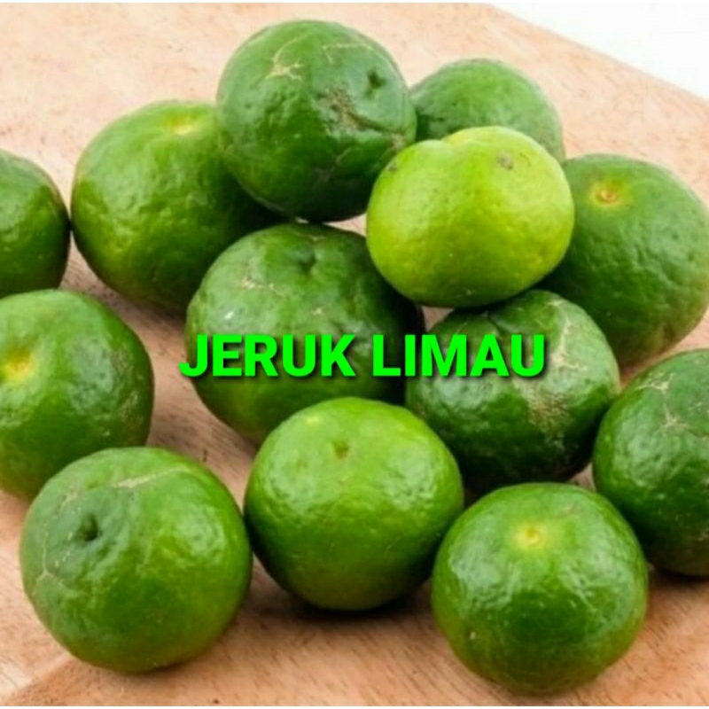 

JERUK LIMAU KHUSUS PARA SULTAN 1 KG (PREMIUM QUALITY)