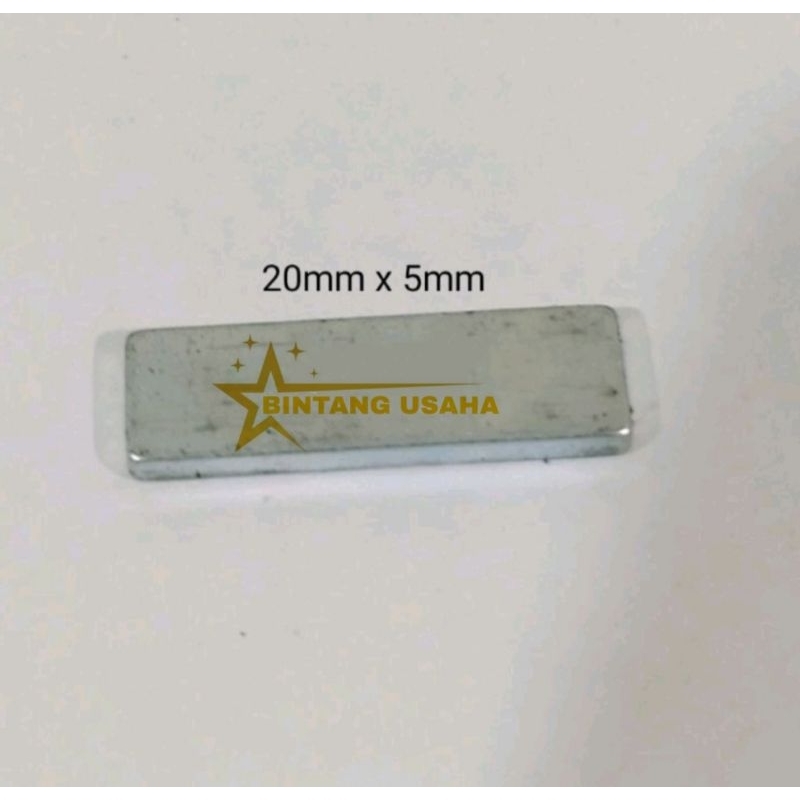 Magnet pintu mesin cuci LG Fuzzy logic Turbo Drum