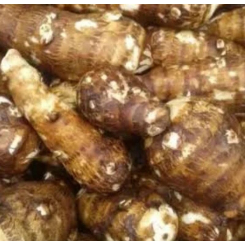 

Ubi Talas Per Kg Sayur Segar Palembang