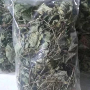 

TERBAIK JAMU HERBAL DAUN ENCOK KERING/PLUMBAGO ZEYLANICA - 1KG