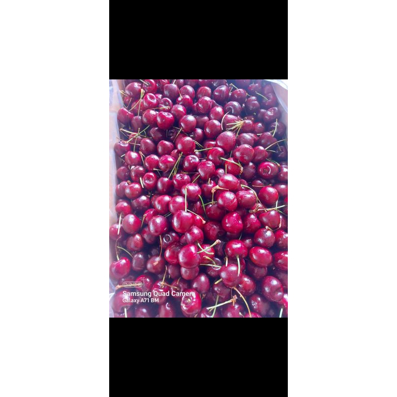 

buah ceri