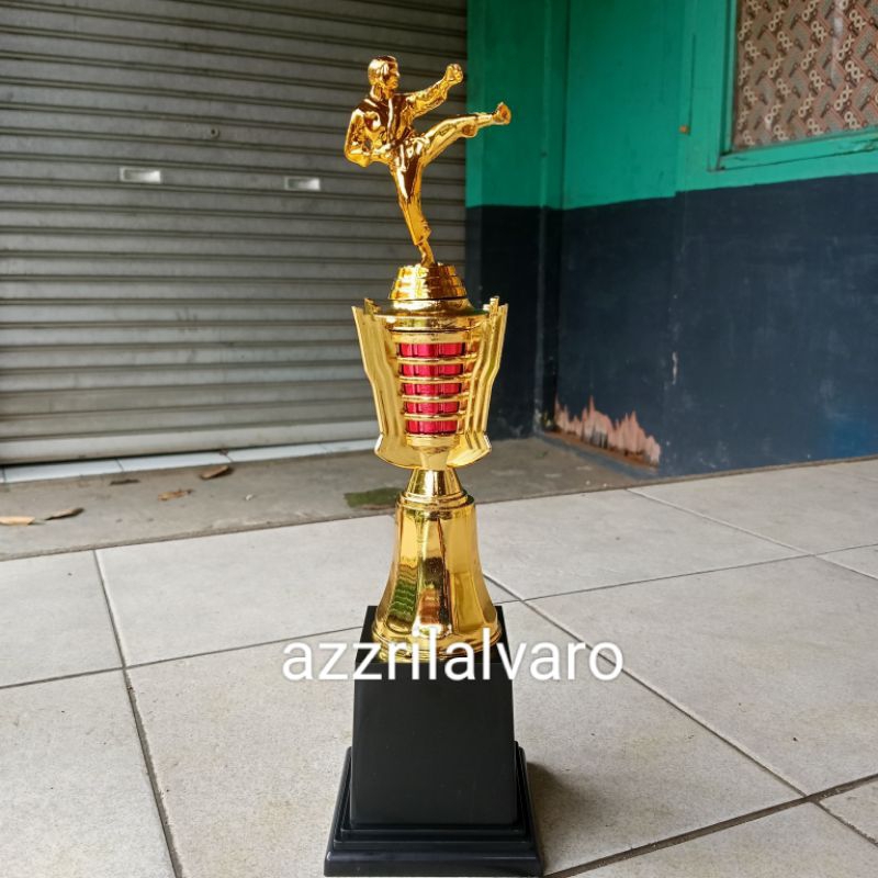 Piala 046 Pencak Silat/Taekwondo/Karate Tinggi 36cm