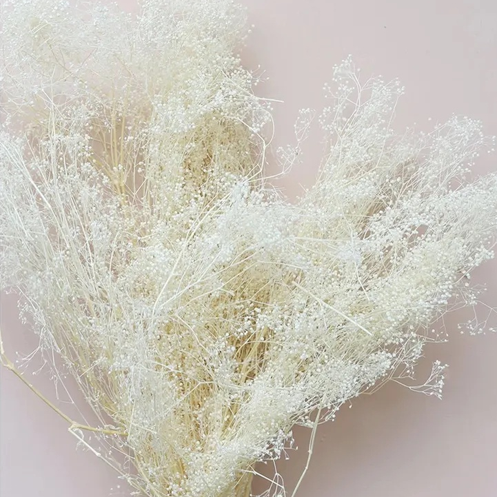 [25 gr] Dried Flowers Preserved Million Star - Bunga Kering Awetan Milion Stars - Dry Flower Gypsoph