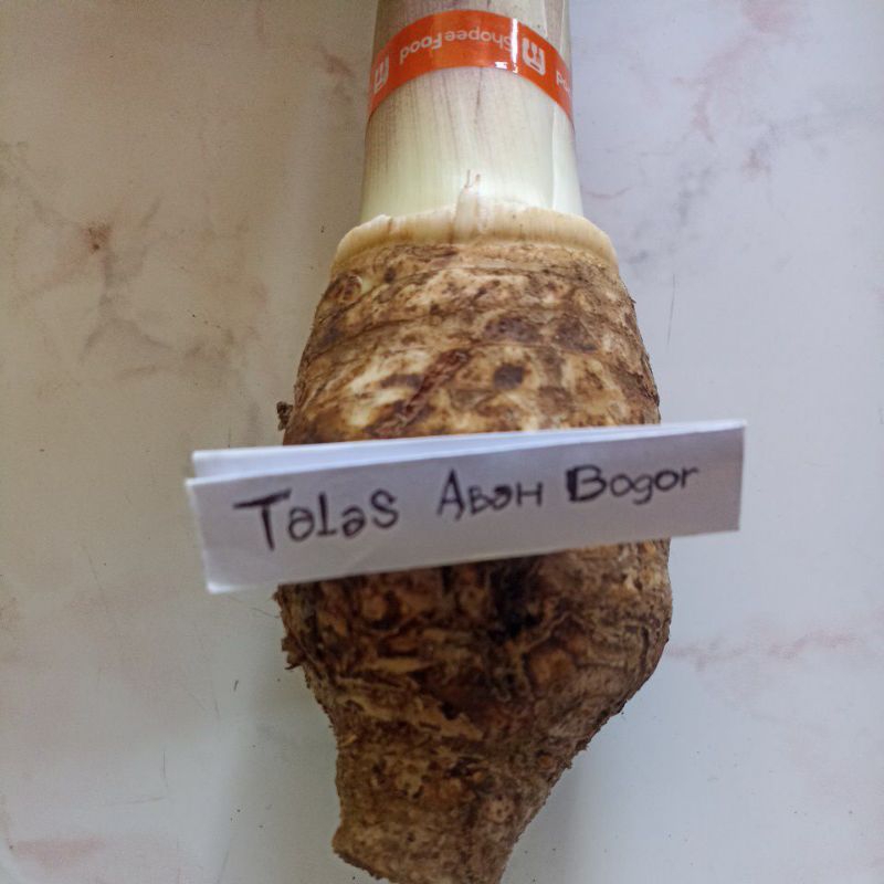 

Talas Bogor pulen 1kg