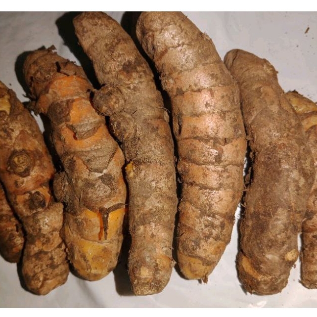 

KUNYIT SUPER FRESH KERING/KUNYIT ASLI TUA