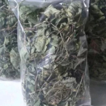 

TERBAIK JAMU HERBAL DAUN ENCOK KERING/PLUMBAGO ZEYLANICA - 250 GRAM