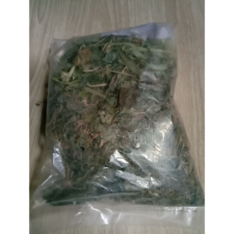 

Daun sirih cina kering/ suruhan herbal 100 gr