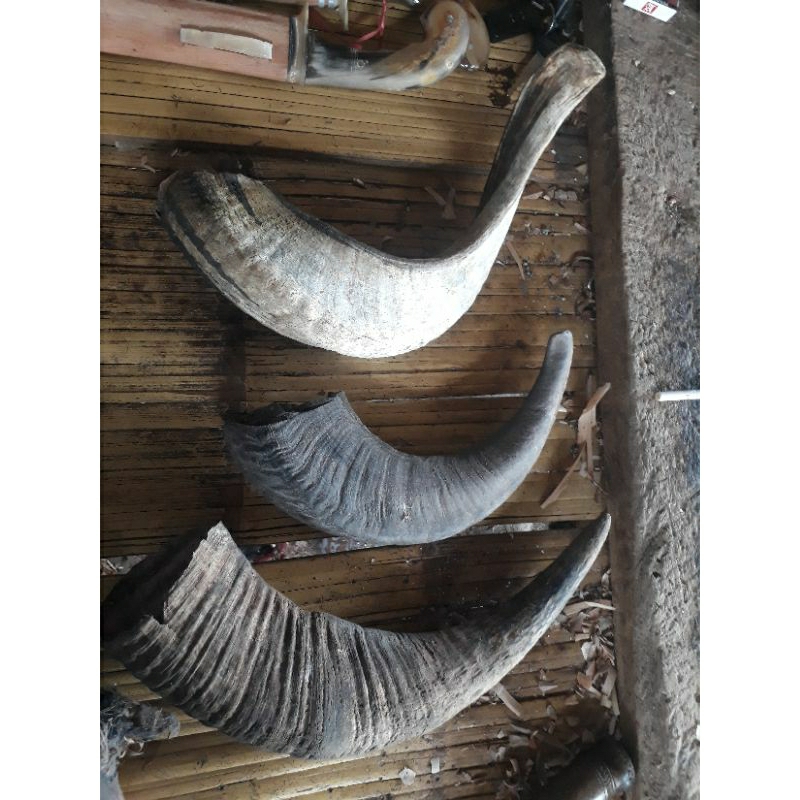 Golok tanduk buatan cipary asli