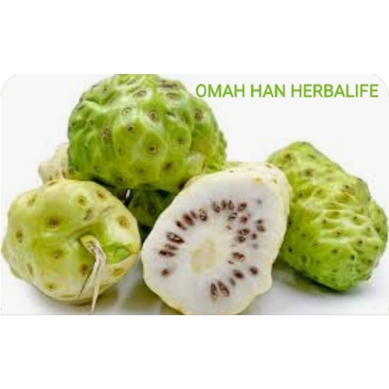 

BUAH MENGKUDU SEGAR/PACE 1000GRAM