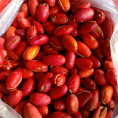 

Buah melinjo kupas