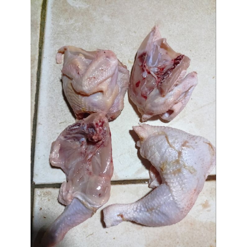 

ayam tg berat 5,6,7 ons (per ekor bisa perkg bisa)