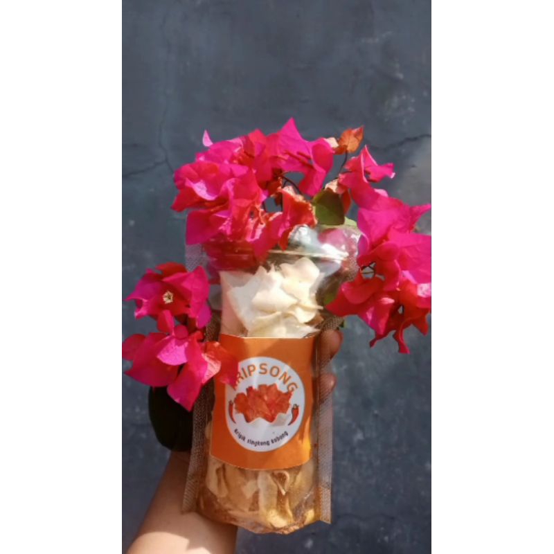 

kripsong_kripikSingkongKobong