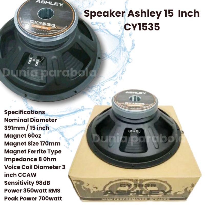 Speaker Ashley 15" CY1535 Professional 15 inch Original CY 1535