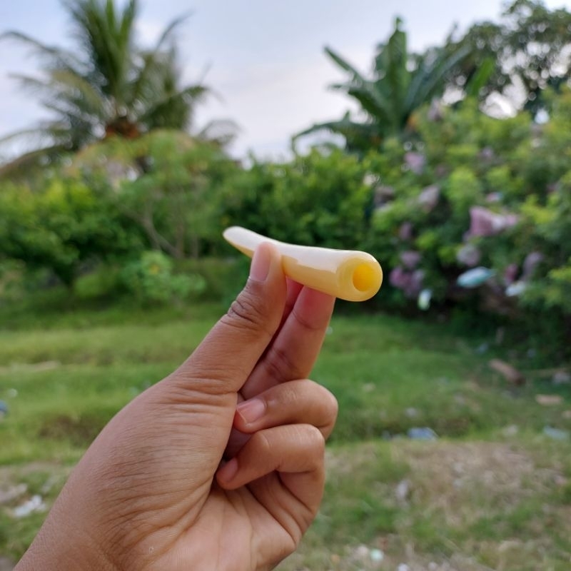 once duyung