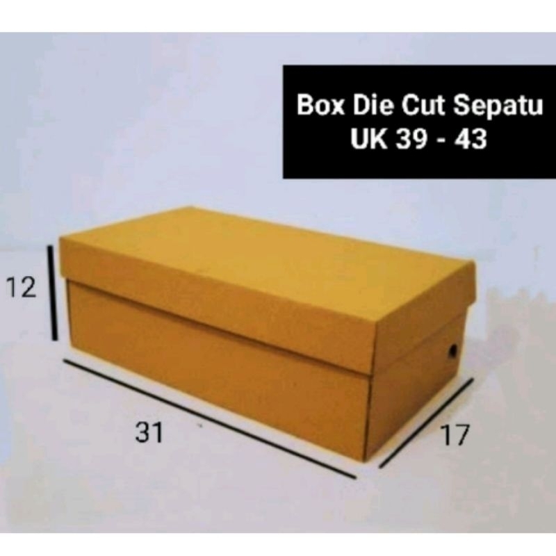

dus sepatu pria