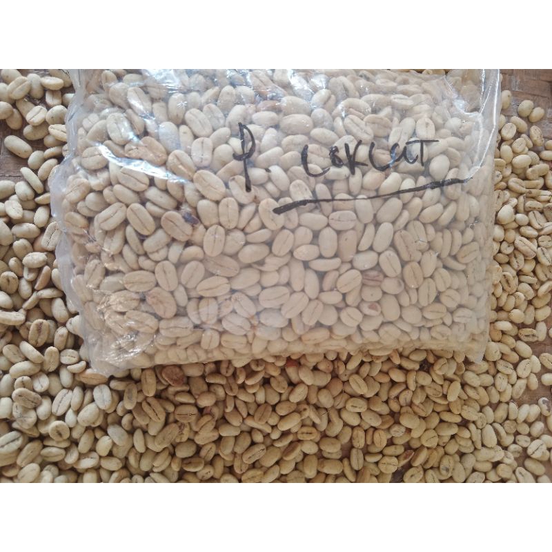 

Benih Kopi Arabika ateng super 1000Butir