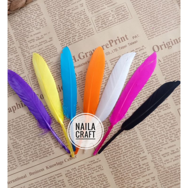 Bulu Ayam Tegak || Bulu Ayam warna warni || Bulu kerajinan tangan