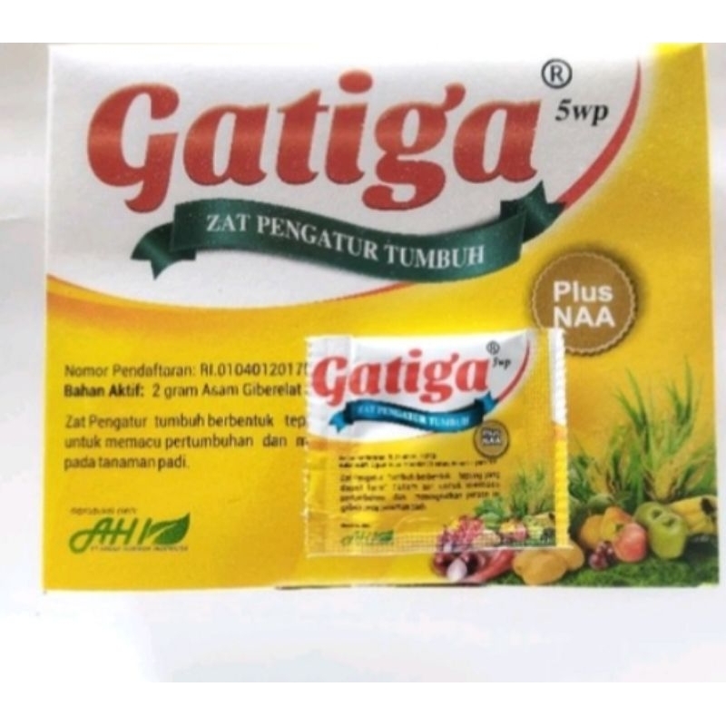 Gatiga Zat Pengatur Tumbuh