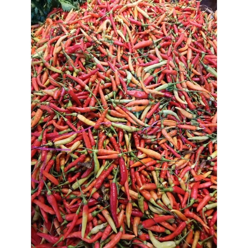 

ANEKA CABE 100g