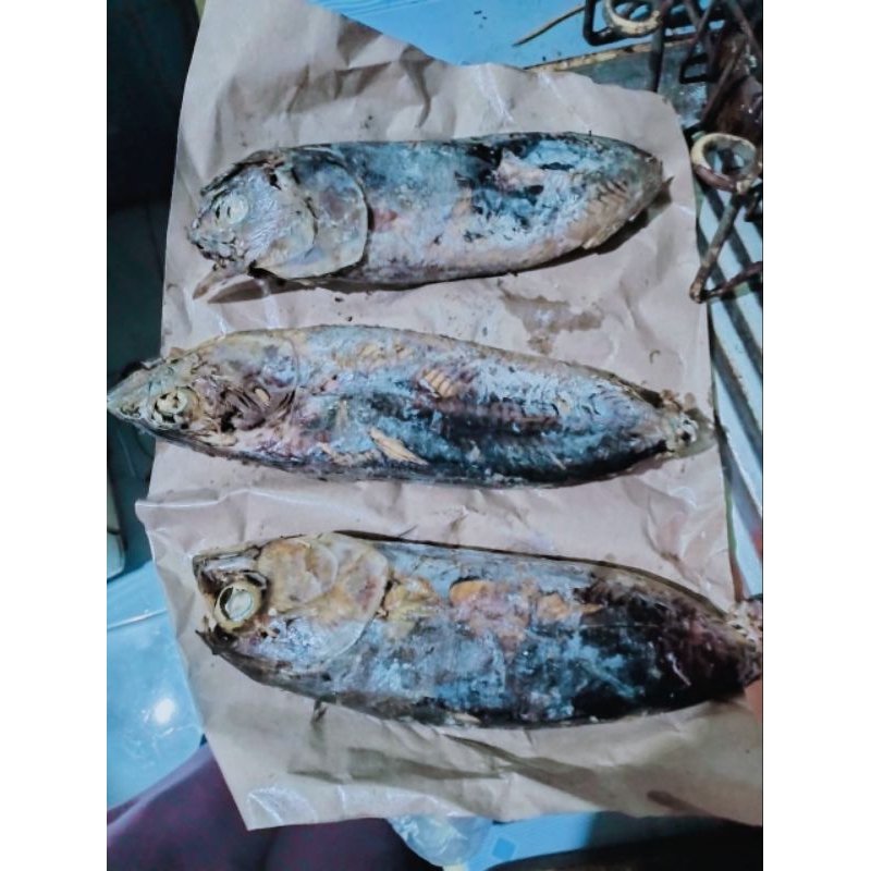 

Ikan Tongkol Cakalang pindang 1 kilo isi 3 ekor Berat (1000GRM