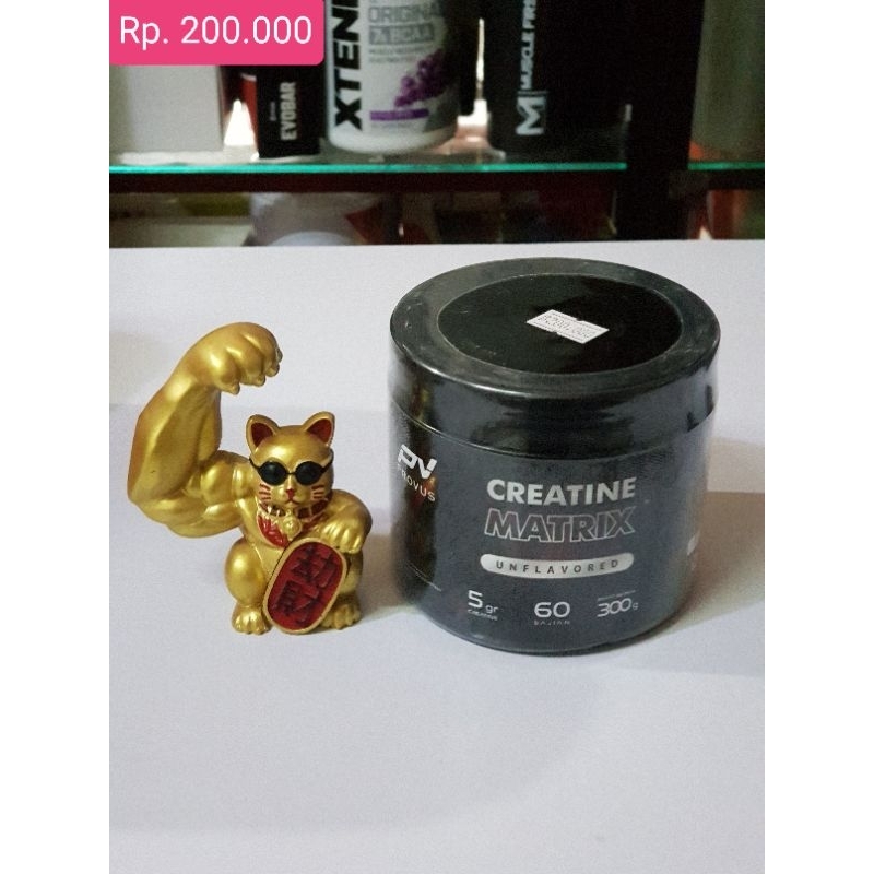 Provus Creatin Matrix 300gr unflavored