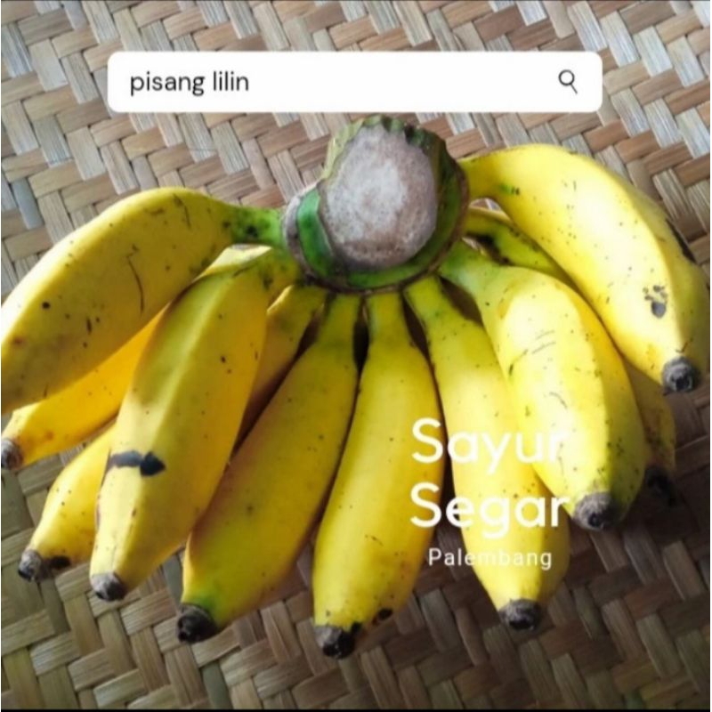

Pisang Lilin per Sisir Sayur Segar Palembang