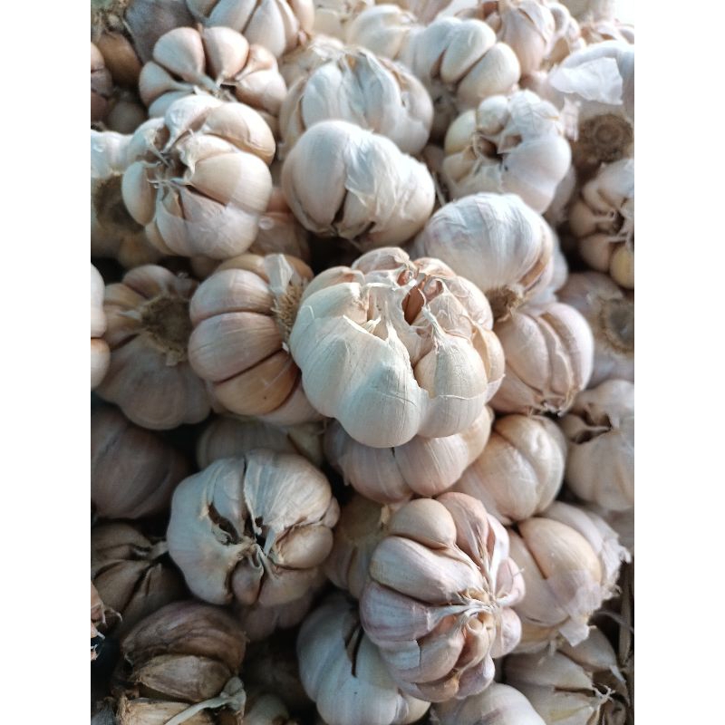 

BAWANG PUTIH BIASA 1kg