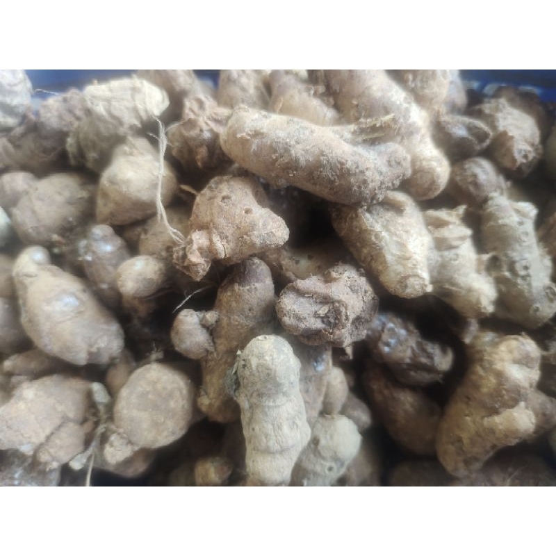 

KENCUR 1 KG