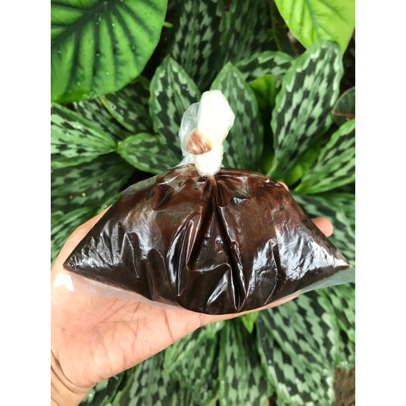 

selai tiramisu (250 gr)