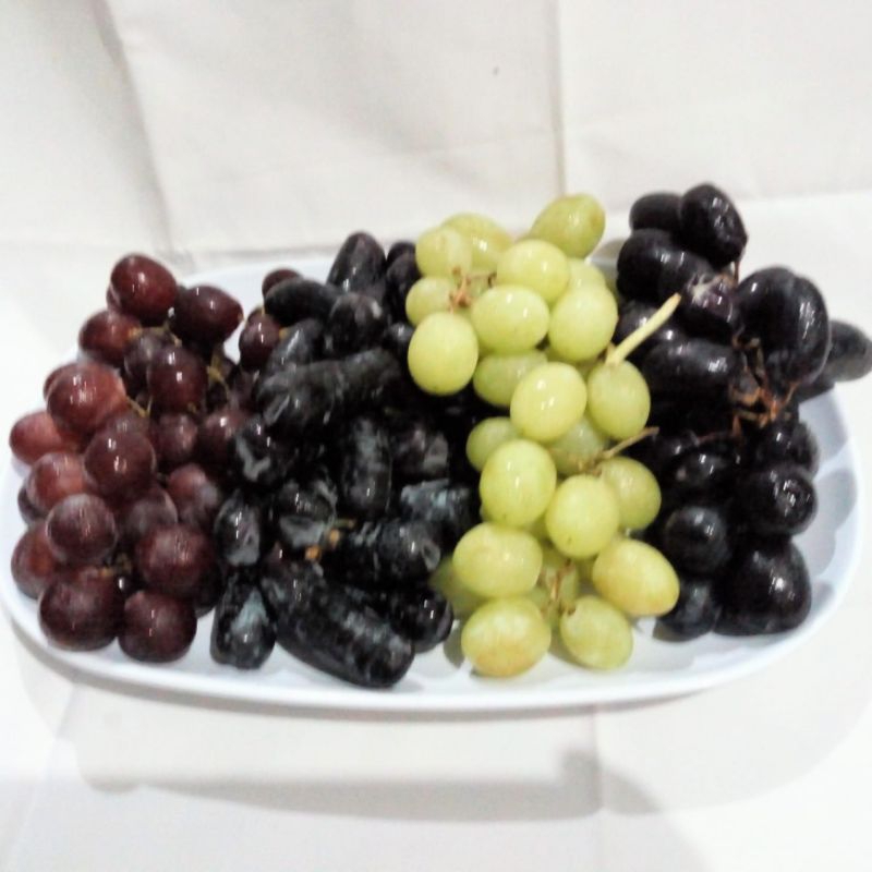 

Grapes Maniac - Paduan 4 Anggur Tanpa Biji yang Manis