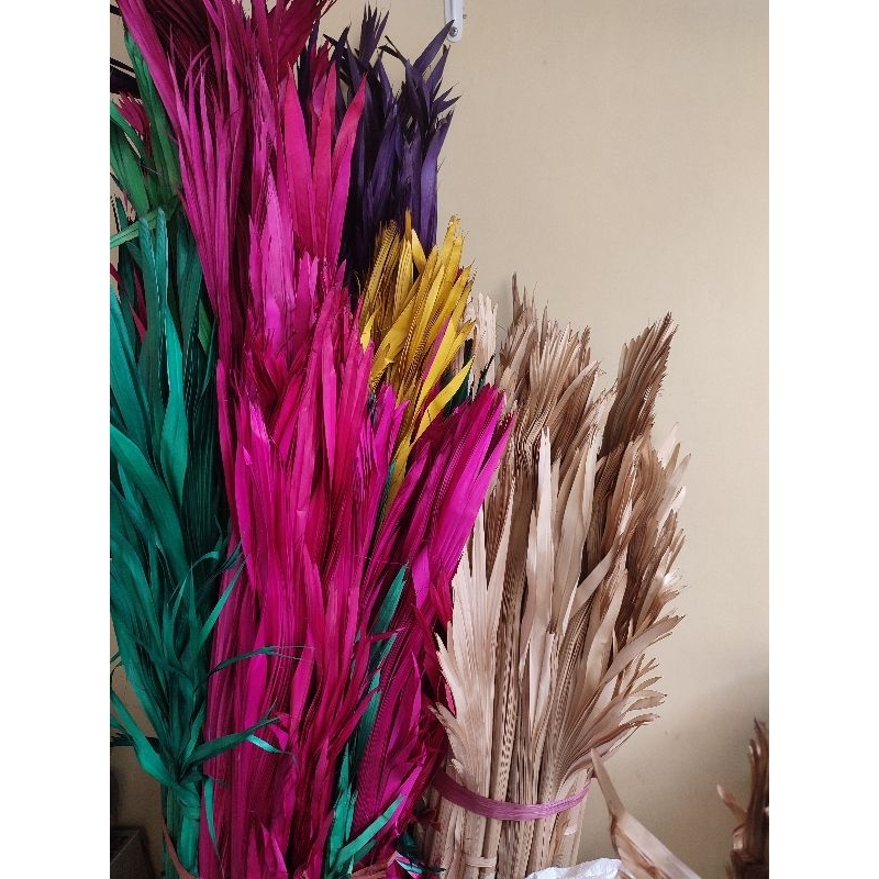 Busung ibung super jumbo/busung ibung bali/busung ibung sulawesi/janur kering/ daun woka kering