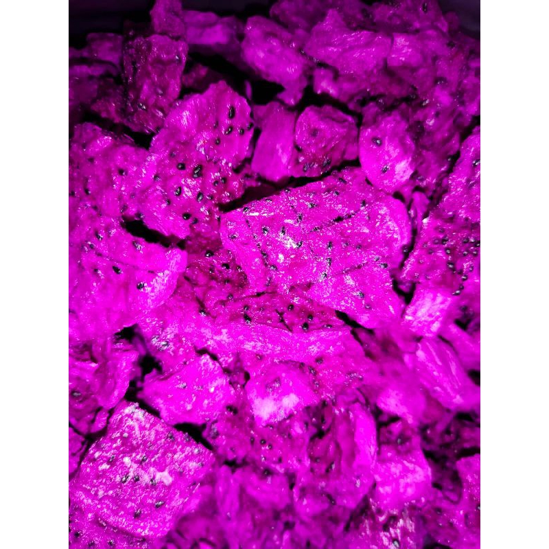 

!!! NEW !!! DRAGON FRUIT FREEZE DRIED 500gr