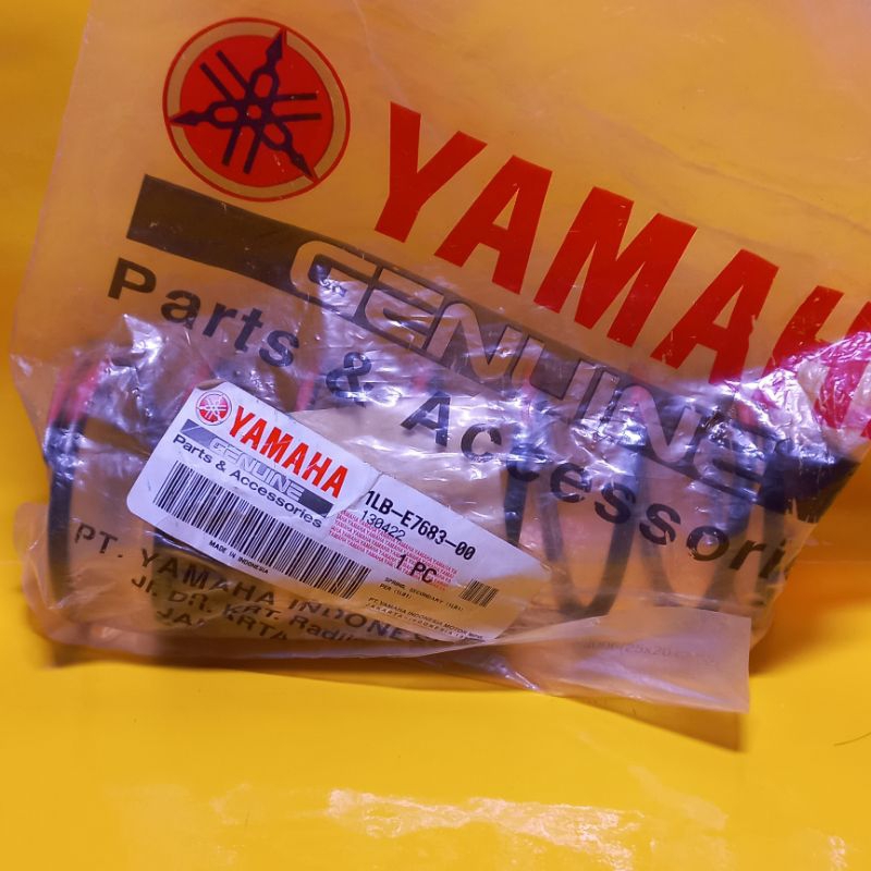 Per CVT Xeon original 1 LB