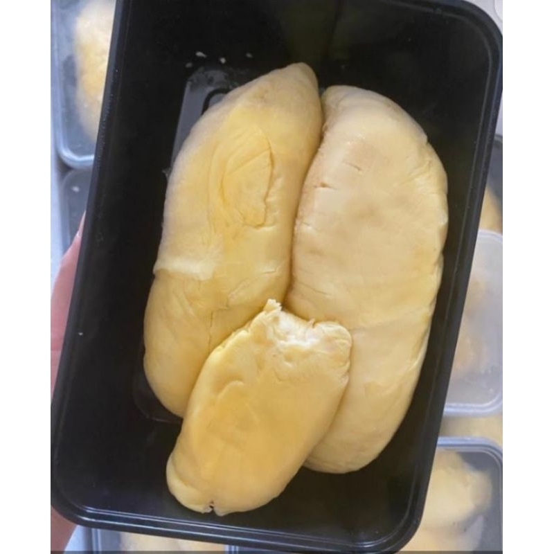 

DURIAN MONTONG PALU PARIGI