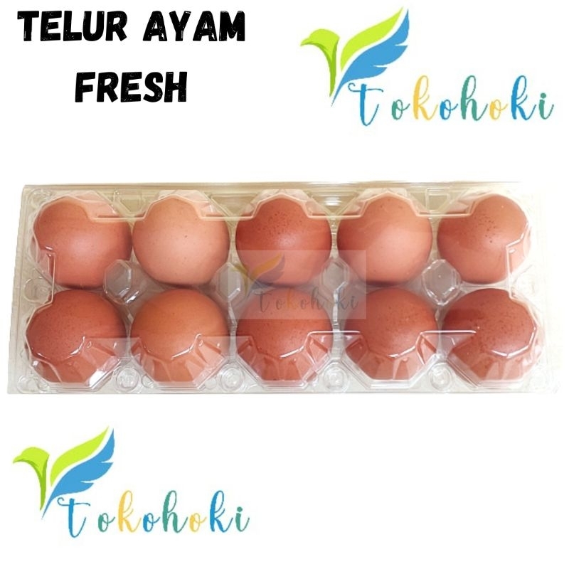 

TELUR AYAM FRESH