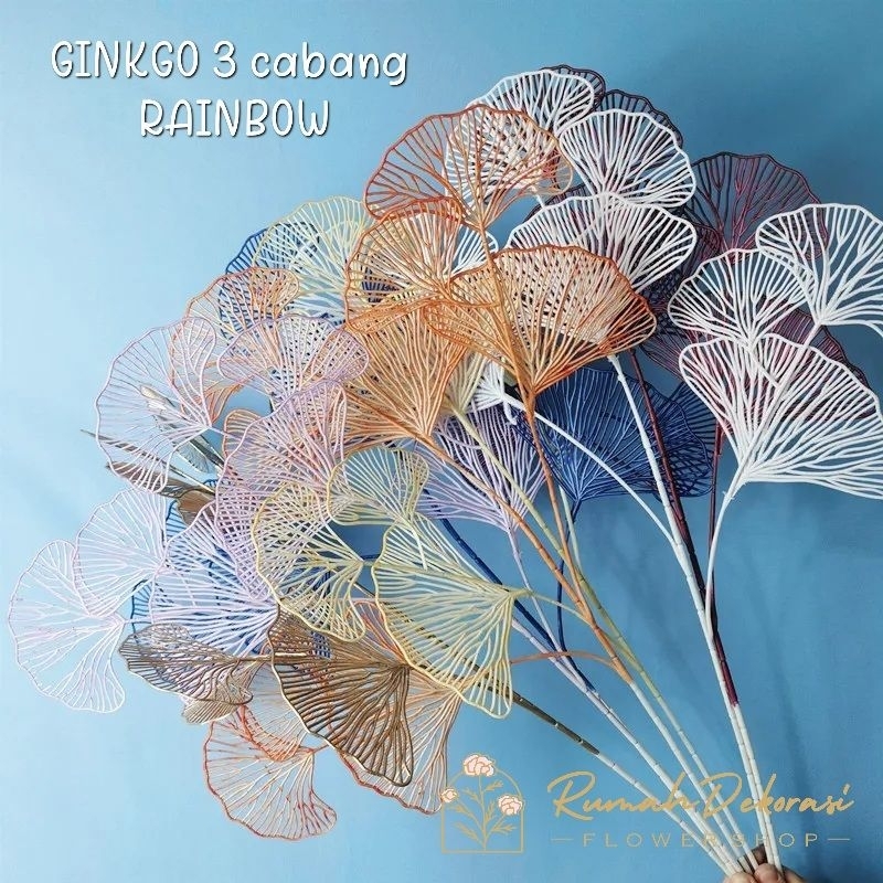 Ginkgo Rainbow 3 cabang