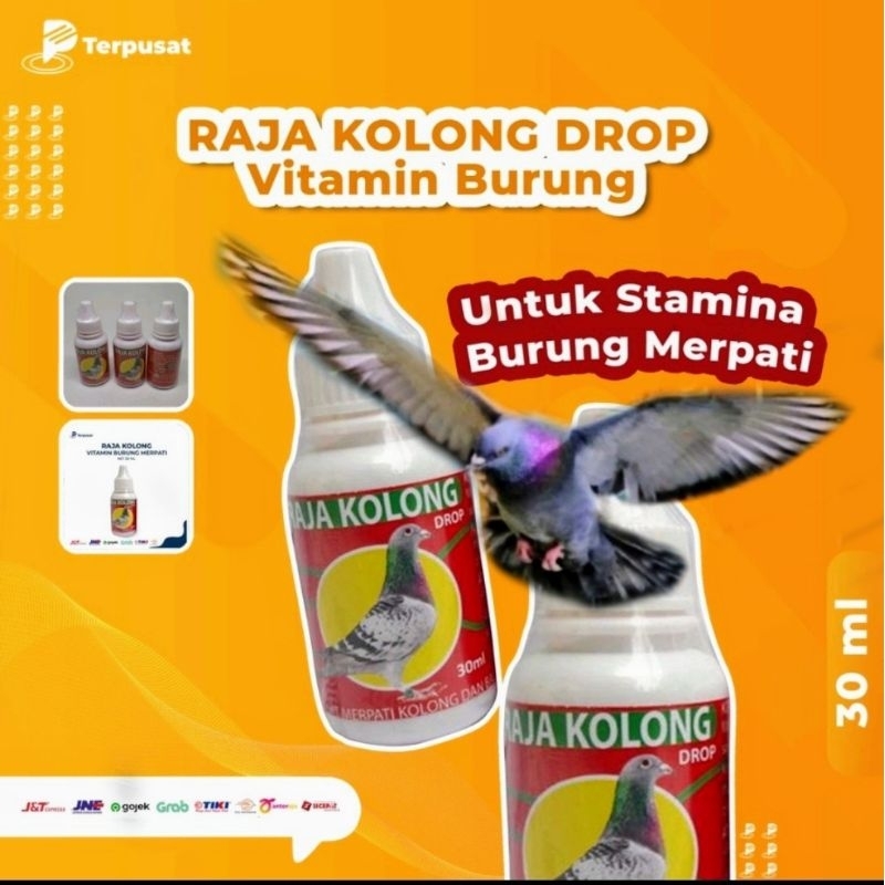 Raja Kolong Drop Merpati 30ml - Obat Merpati Kolong dan Balap Burung Merpati