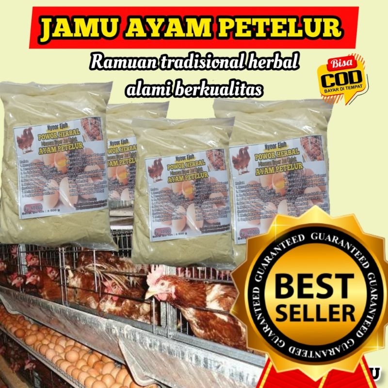 JAMU AYAM PETELUR