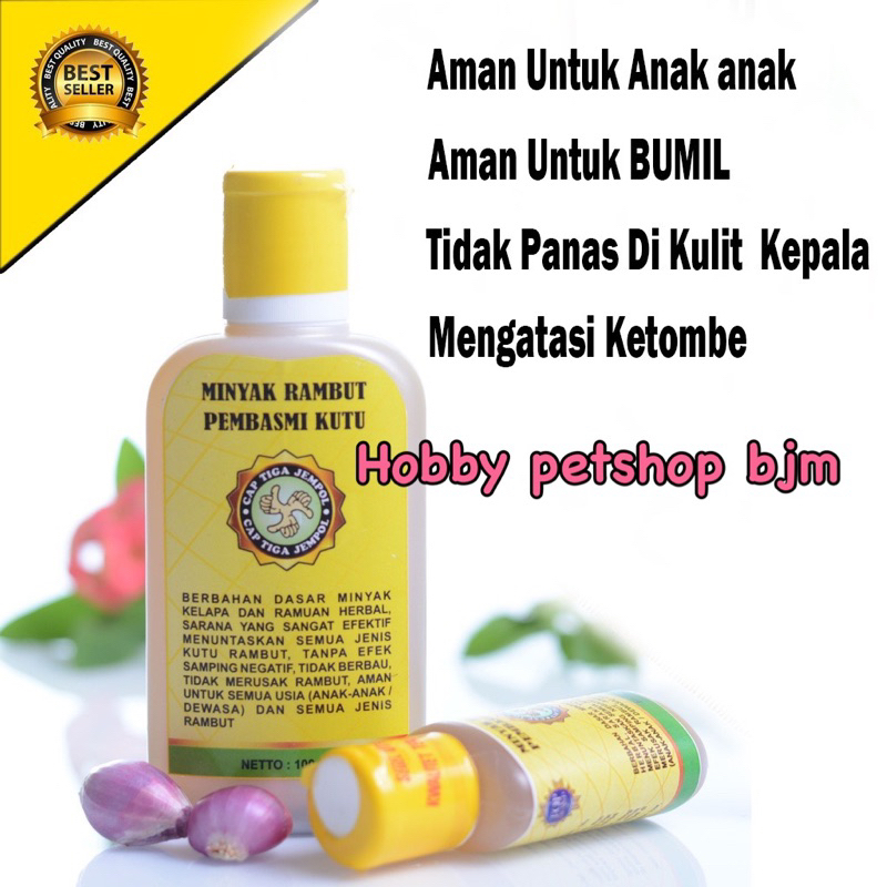 Minyak rambut pembasmi kutu - obat kutu jamur ketombe kepala rambut manusia