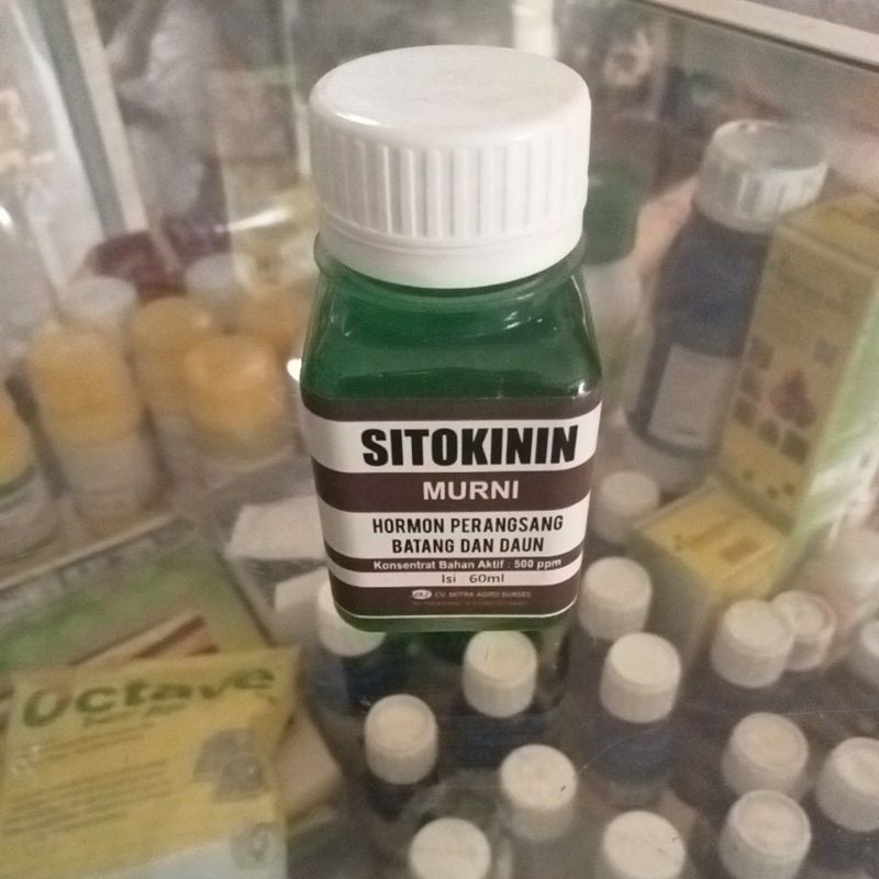 SITOKININ MURNI "HORMON PERANGSANG BATANG DAN DAUN"