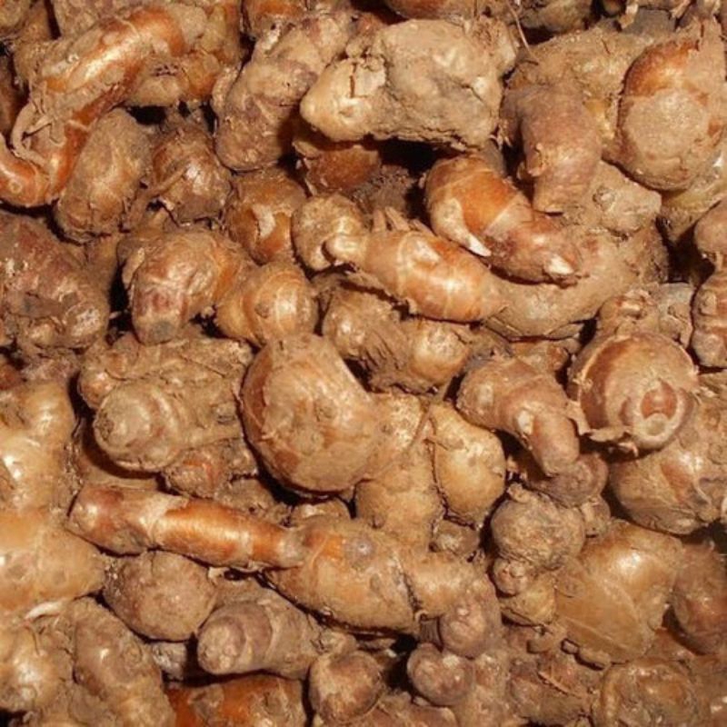 

TERMURAH KENCUR/BUMBU SEBLAK FRESH 200g!