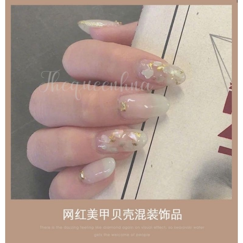 12 Grids Natural Shell Nail Art Ornament Manik Kerang Mutek Kuku