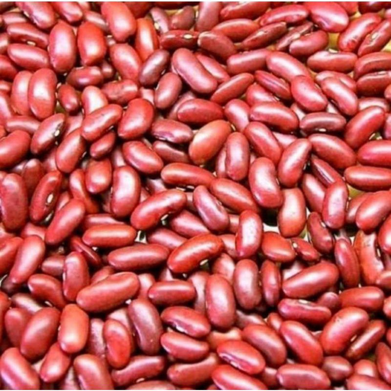 

kacang merah / kacang jogo organik 1kg