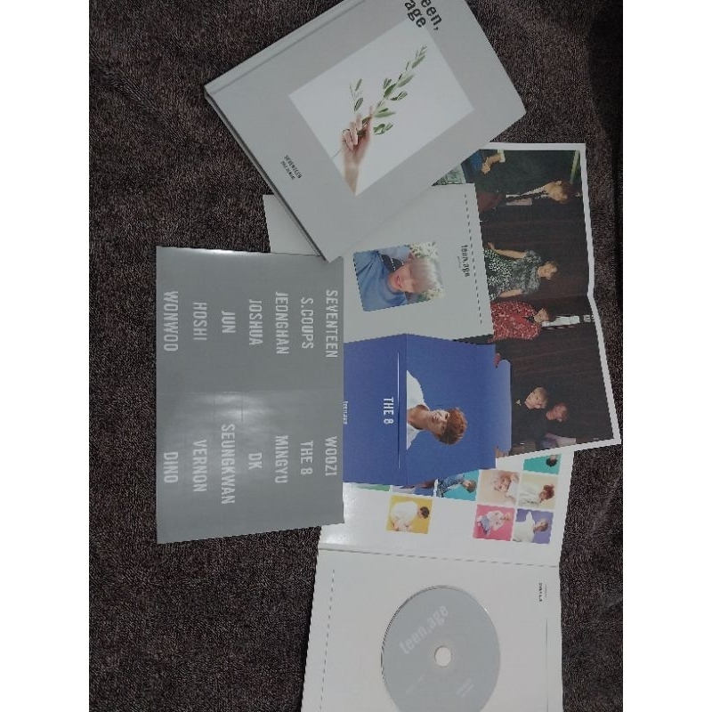 WTS MURAH SEVENTEEN 2ND ALBUM TEENAGE / TEEN AGE GREY VERSION DINO PHOTOCARD (KOLEKSI PRIBADI)