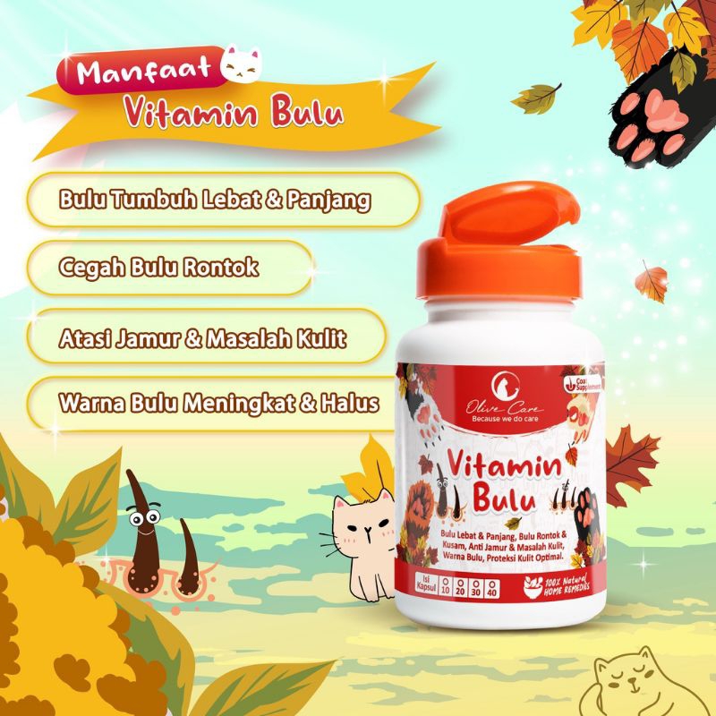 Olive Care Vitamin Bulu Kucing Melebatkan dan Menumbuhkan Bulu Mencegah Kerontokan Rambut Kucing ORD 2