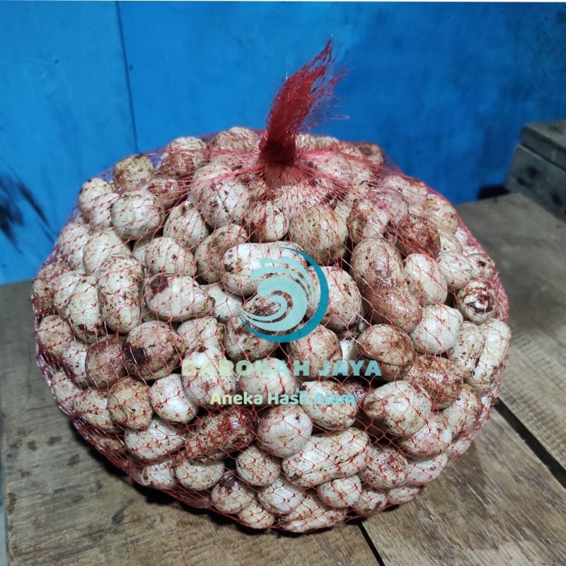 

KACANG BOGOR MENTAH / BAMBARA GROUNDNUT 1 KG