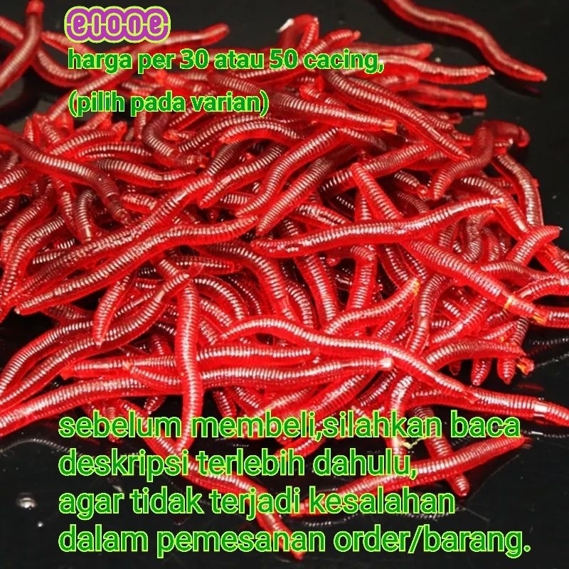 Soft lure fishing earth worm - umpan pancing cacing tanah - tidak termasuk kail