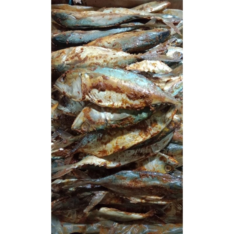 

Ikan Asin Peda Jumbo 1kg